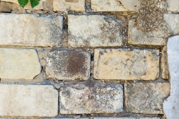 Block Wall Removal in Estero